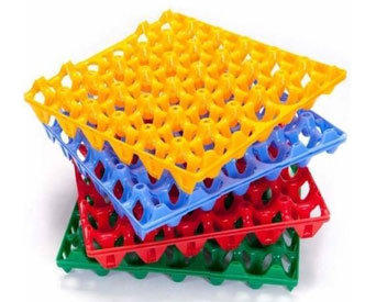 Egg Tray